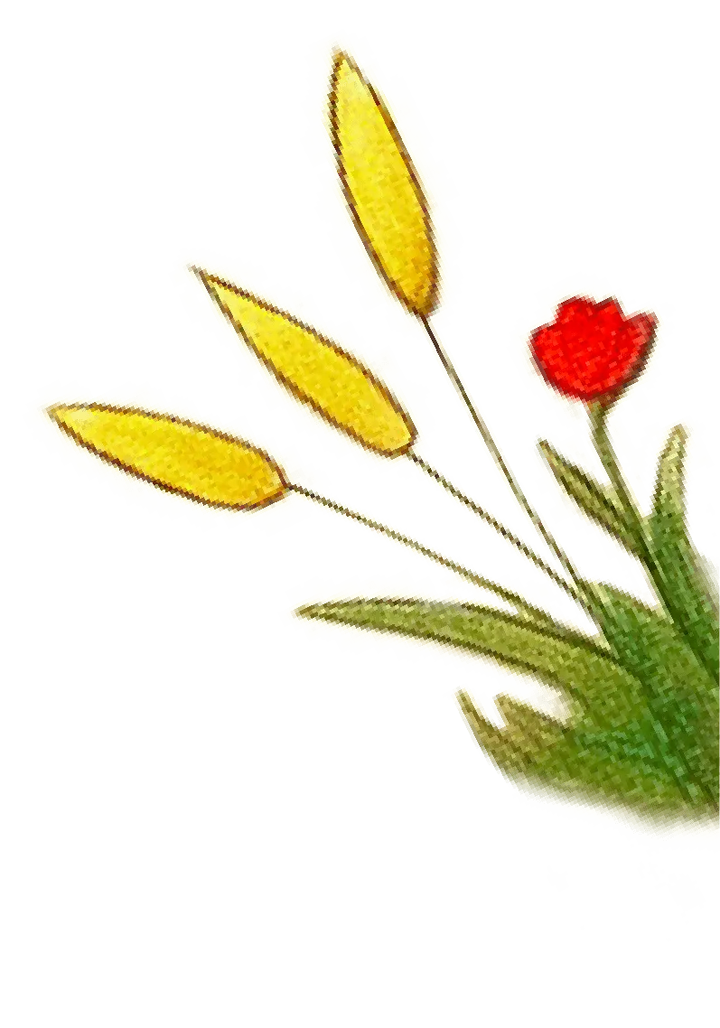 Flor derecha el charco de las ranas